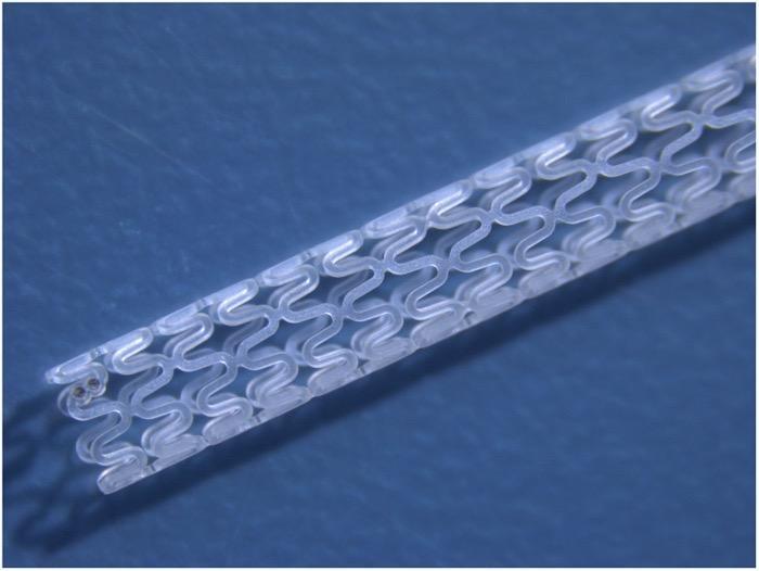 An image of a polymer stent